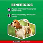 Dog Chow Longevidad Adulto 7+ Todos los Tamaños 8 KG - Miniatura 3