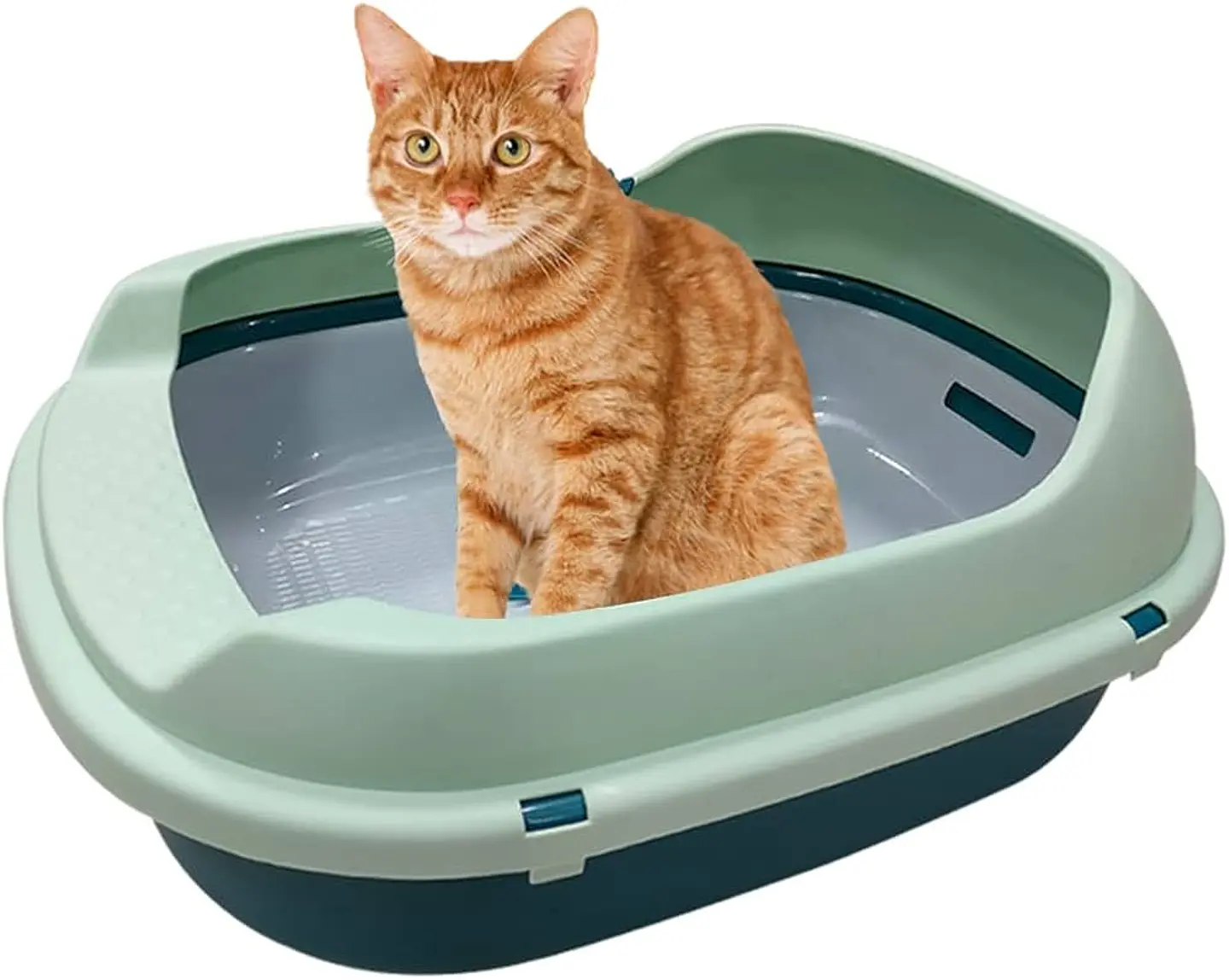 Arenero para Gato con Cernidor Práctico y Fácil 1
