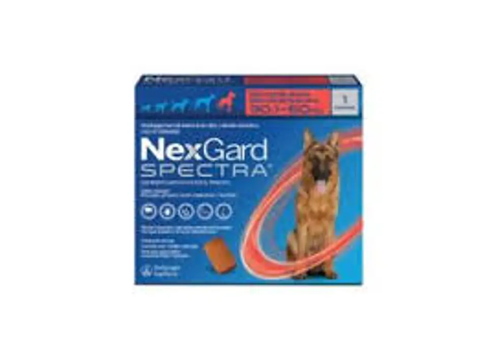 NexGard SPECTRA 30 a 60 kg Antiparasitario para Perros  Descripción del producto: 1