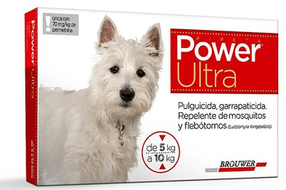Power Ultra 5 a 10 kg  1