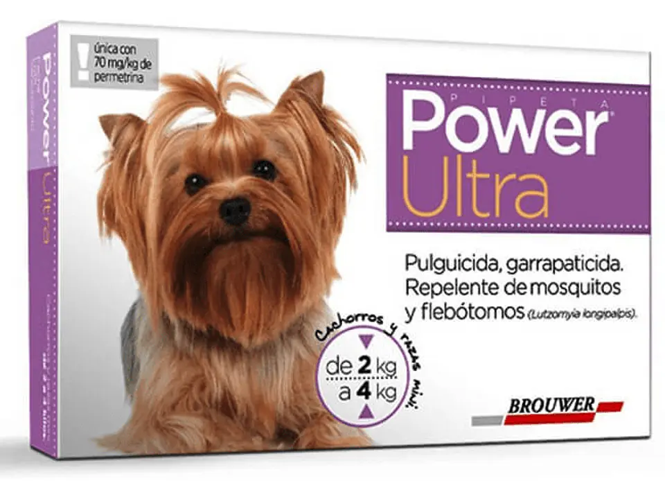 Power Ultra 2 a 4 kg  1
