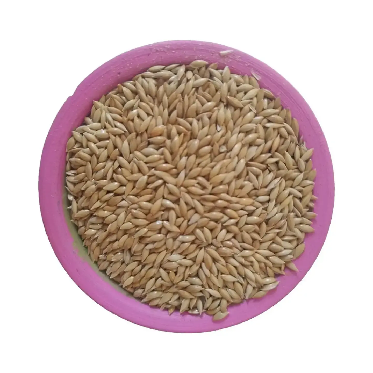 Semillas de Alpiste para Aves Ornamentales 1 Kg 2