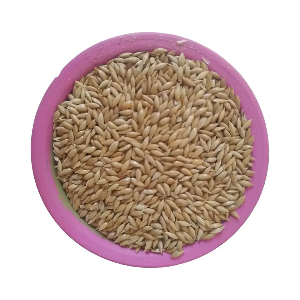 Semillas de Alpiste para Aves Ornamentales 1 Kg 2
