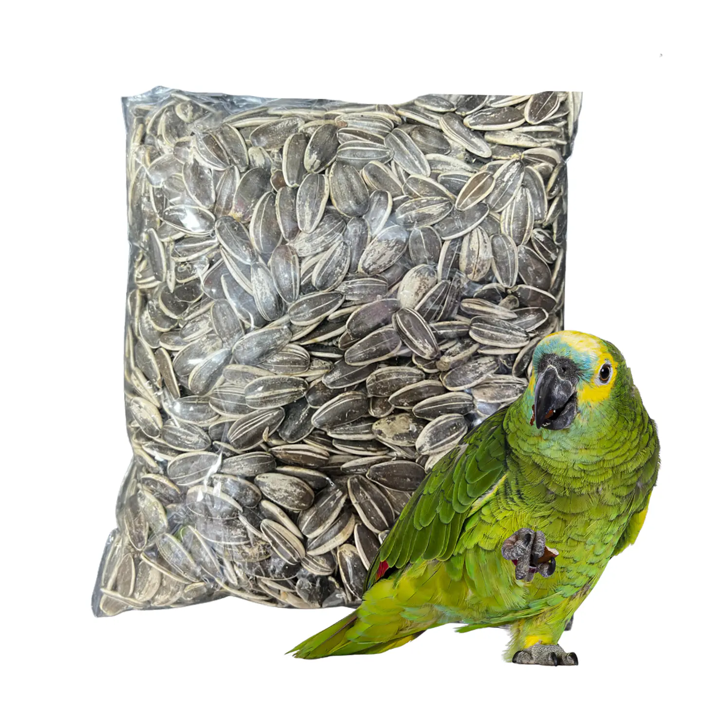 Semillas de Girasol para Aves 500 g 1