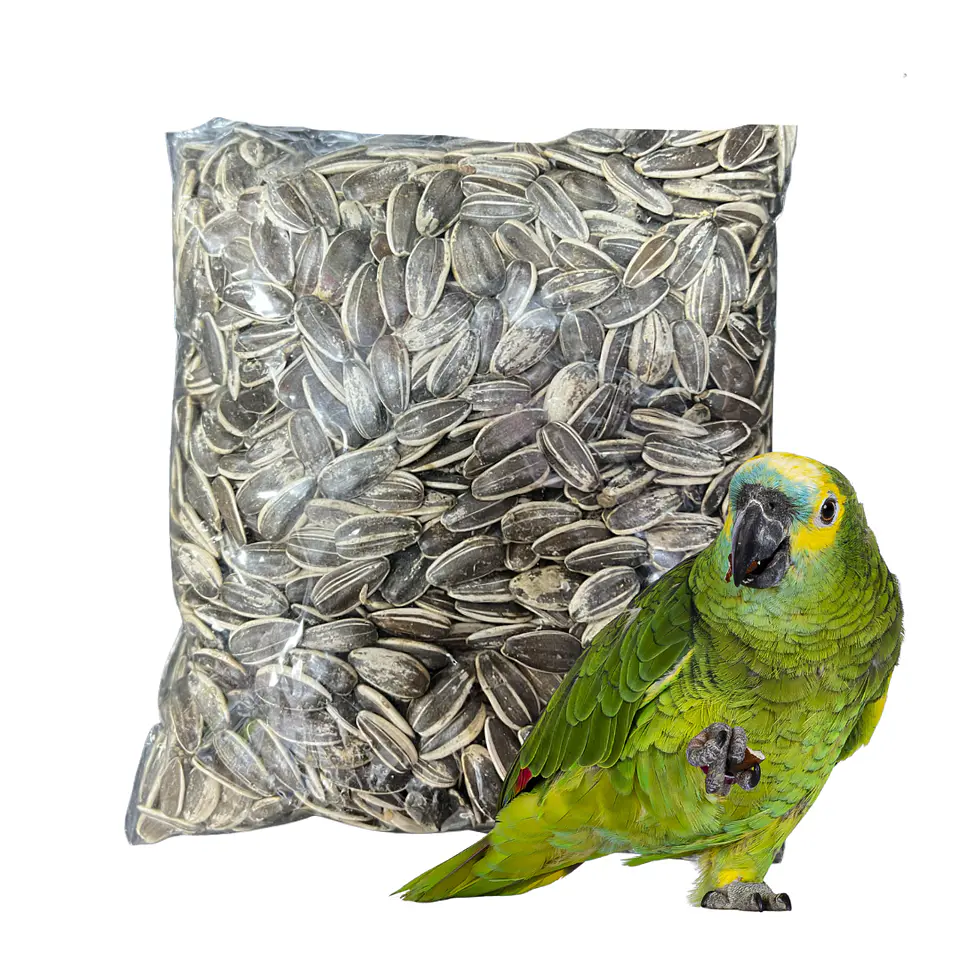 Semillas de Girasol para Aves 500 g 1