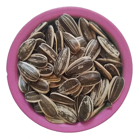Semillas de Girasol para Aves 500 g