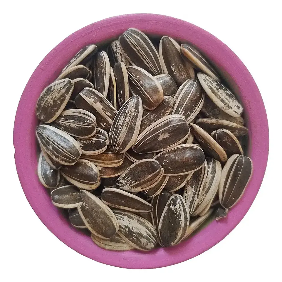 Semillas de Girasol para Aves 500 g 2