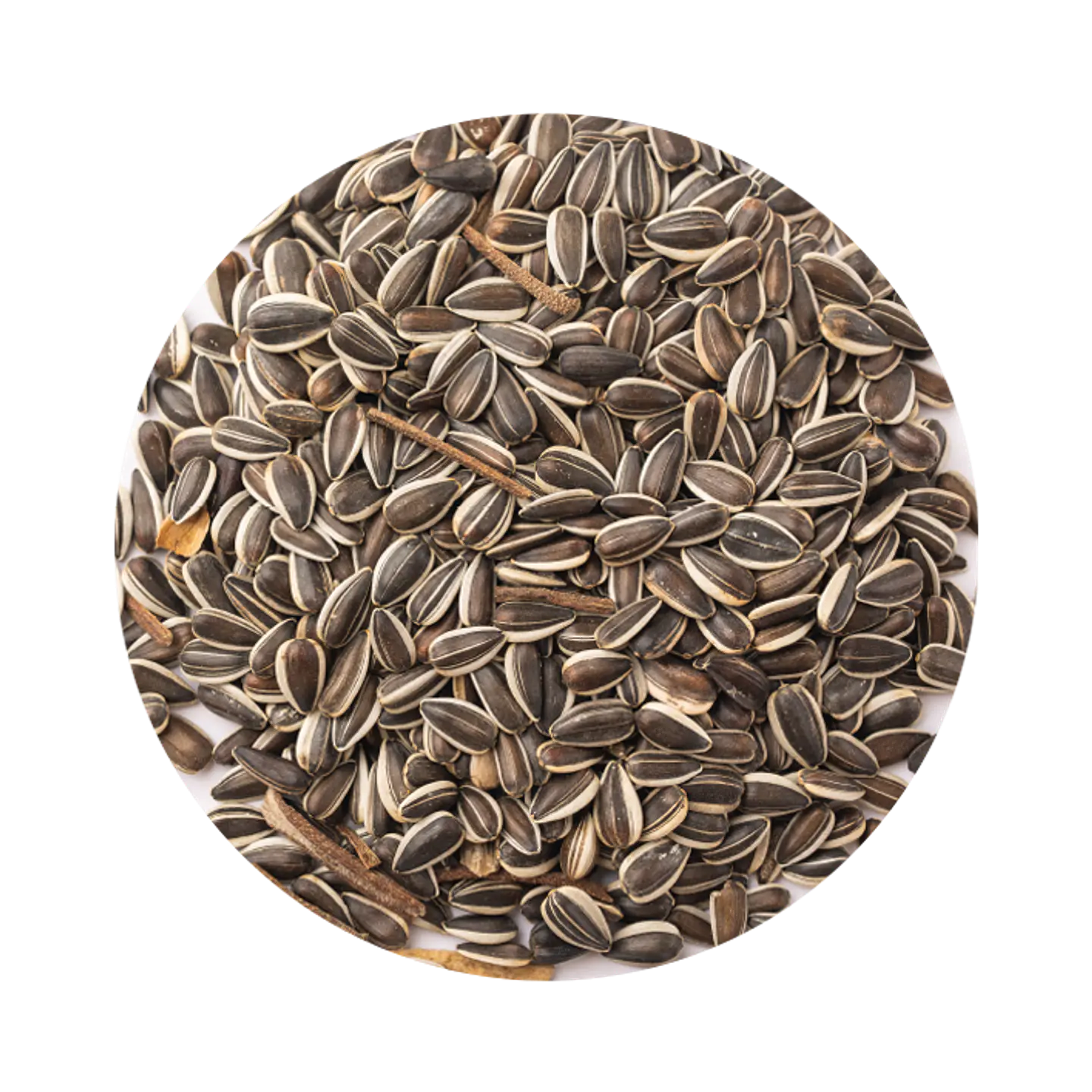 Semillas de Girasol para Aves 500 g 3
