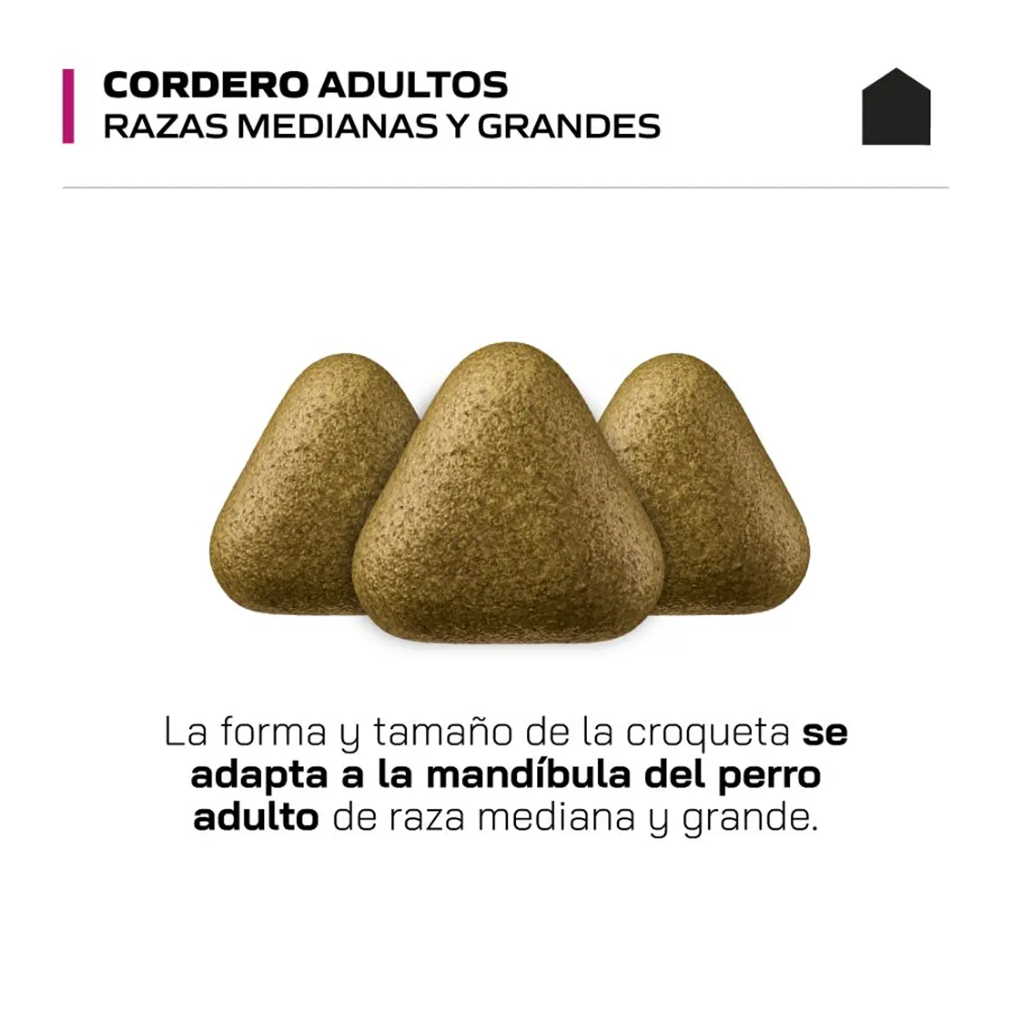 Canbo Cordero Adulto Razas Medianas y Grandes 15kg 3