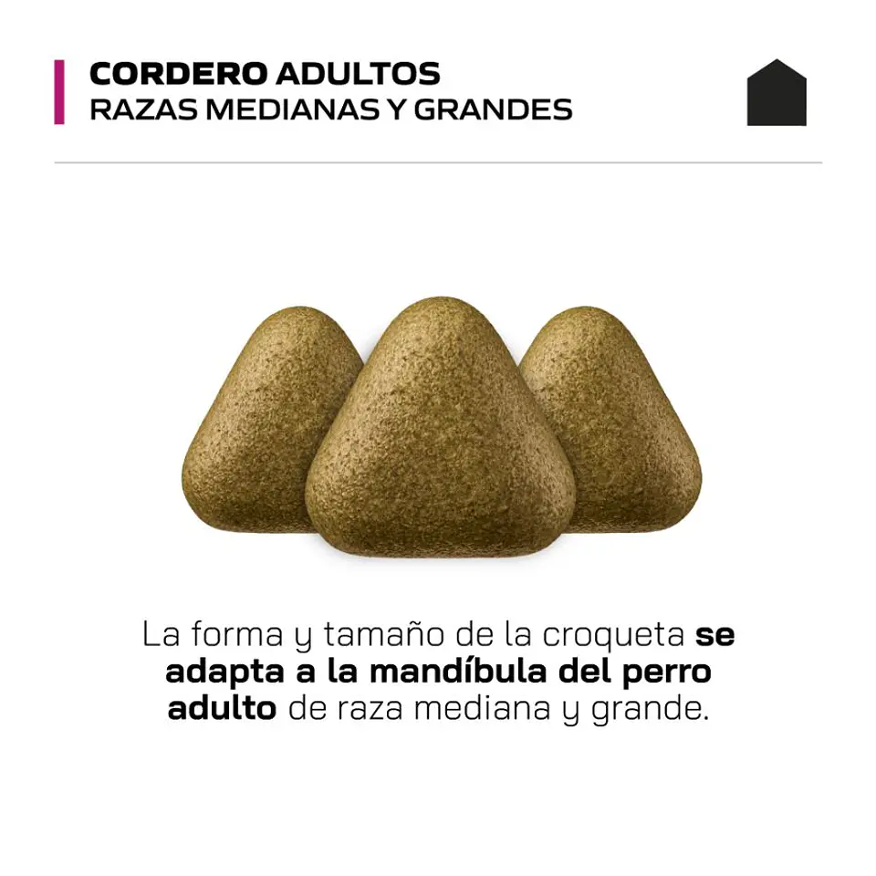 Canbo Cordero Adulto Razas Medianas y Grandes 15kg 3
