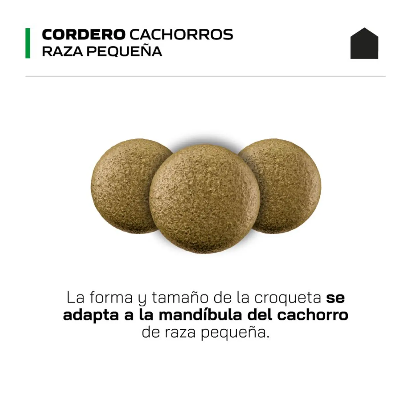 Canbo Cachorro Cordero Razas Pequeñas Perro 7kg 3