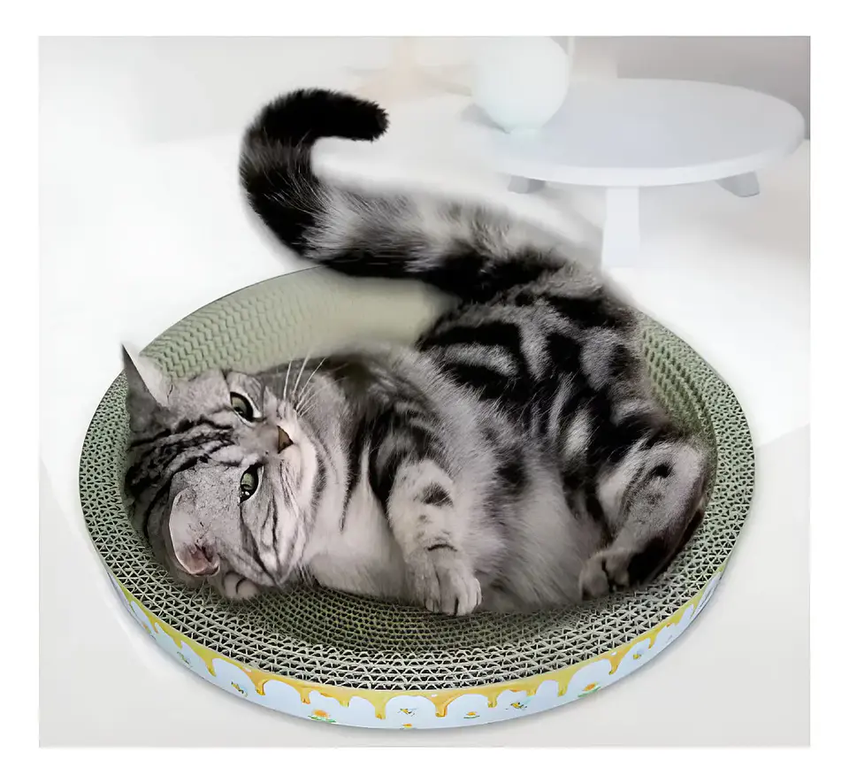 Rascador Redondo tipo Cama con Catnip  Para Gato  44 CM 3