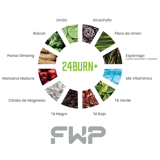 QUEMA GRASA 24BURN+ DE FWP 280GR