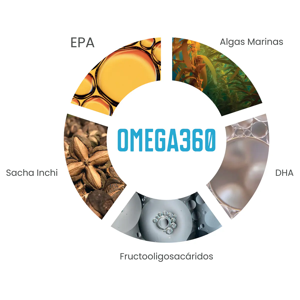 OMEGA360 DE FWP 60 UNIDADES