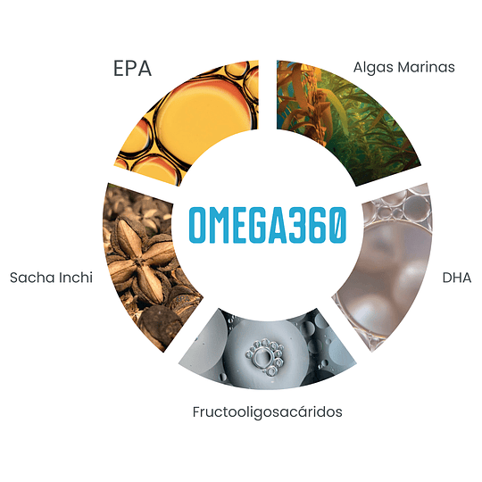 OMEGA360 DE FWP 60 UNIDADES