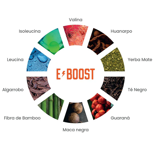 E-BOOST ENERGIZANTE NATURAL DE FWP 196GR