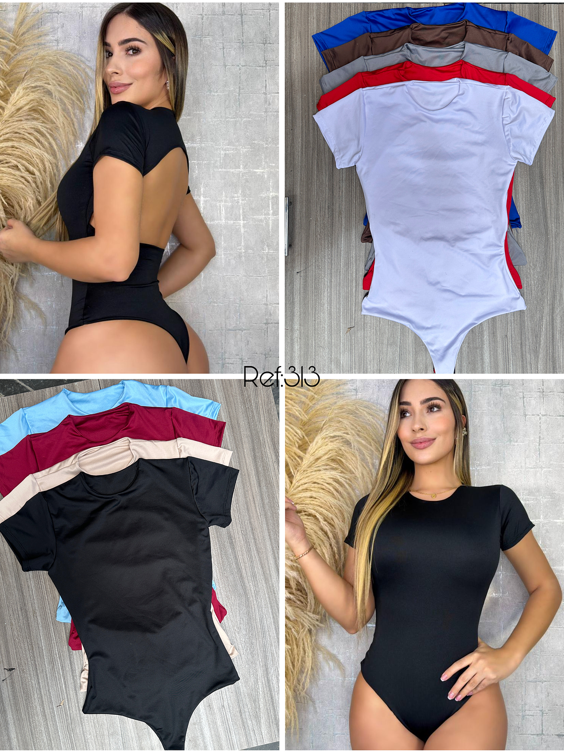 Body referencia 313 1