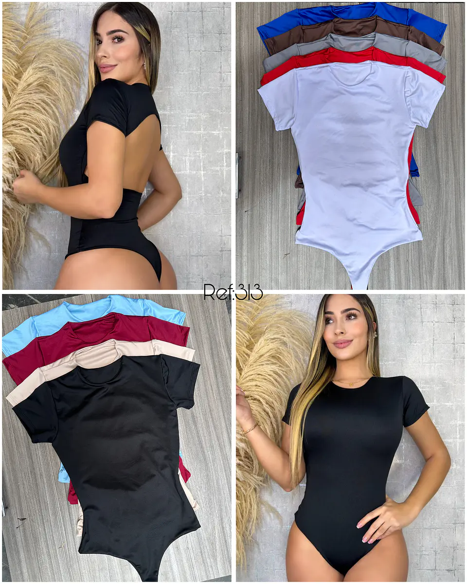Body referencia 313 1
