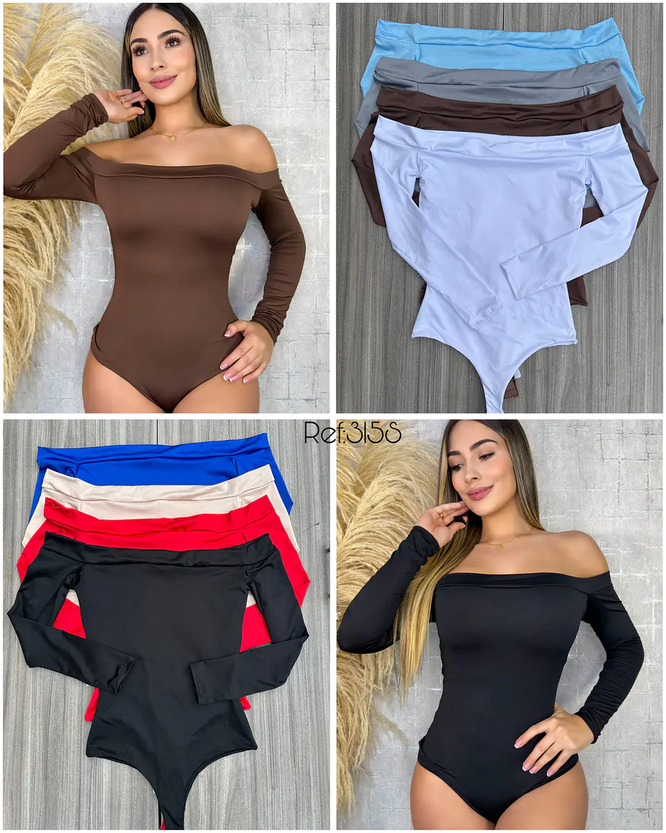 Body referencia 315 1