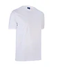 POLERA M/C HOMBRE 100% ALG - Miniatura 4