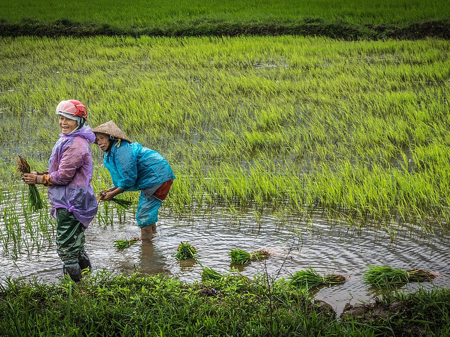 Experiencia y confianza