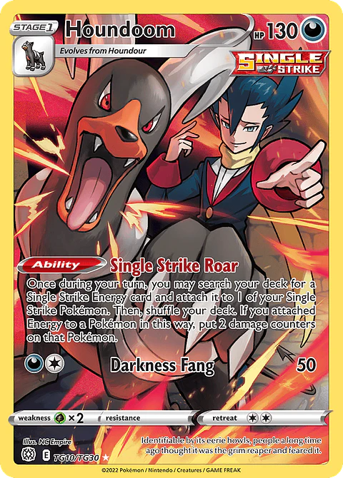 Houndoom TG10/30 - Brilliant Stars Trainer Gallery (NM)