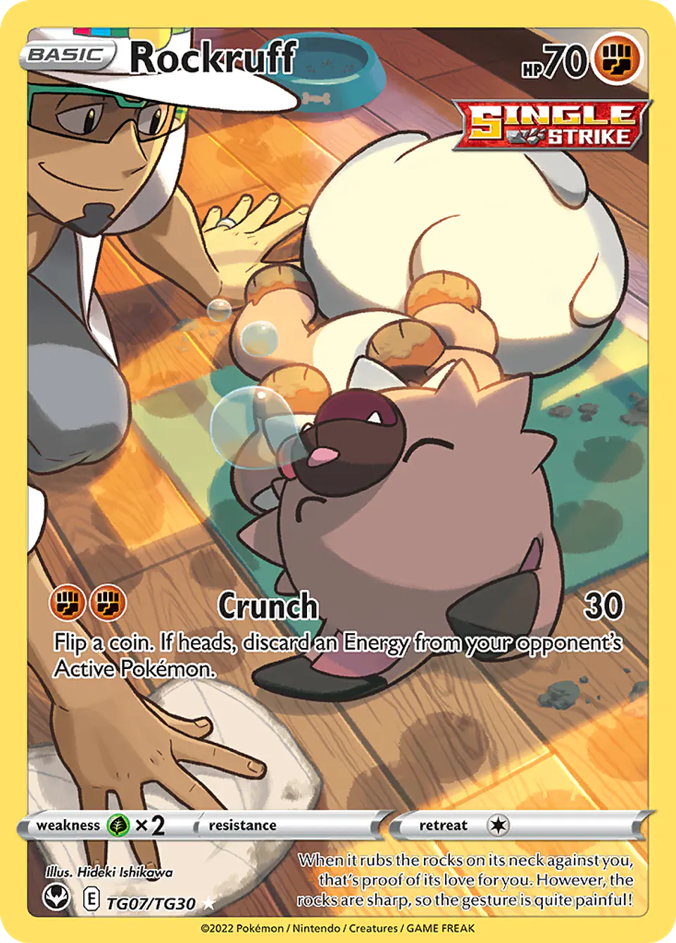 Rockruff TG07/30 - Silver Tempest Trainer Gallery (NM) 1