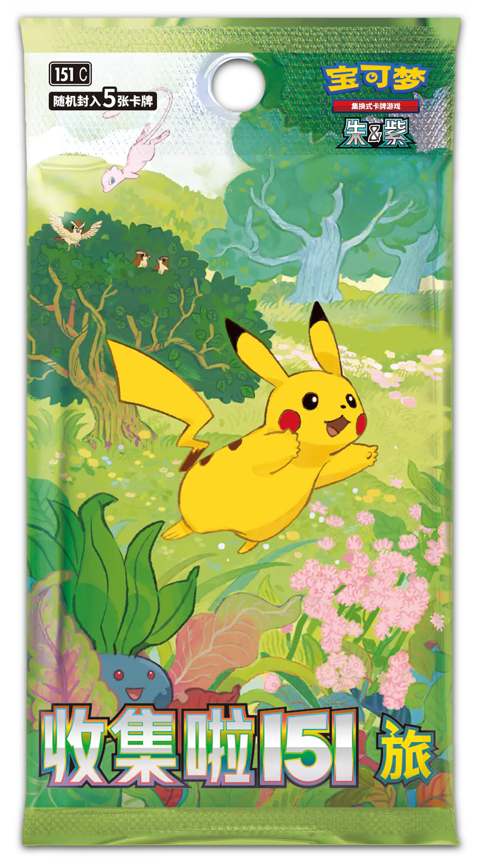 151 Puzzle Magnet Set 5