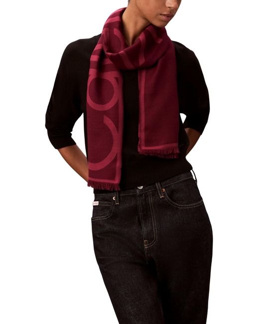 Echarpe Bordeaux - Calvin Klein  3