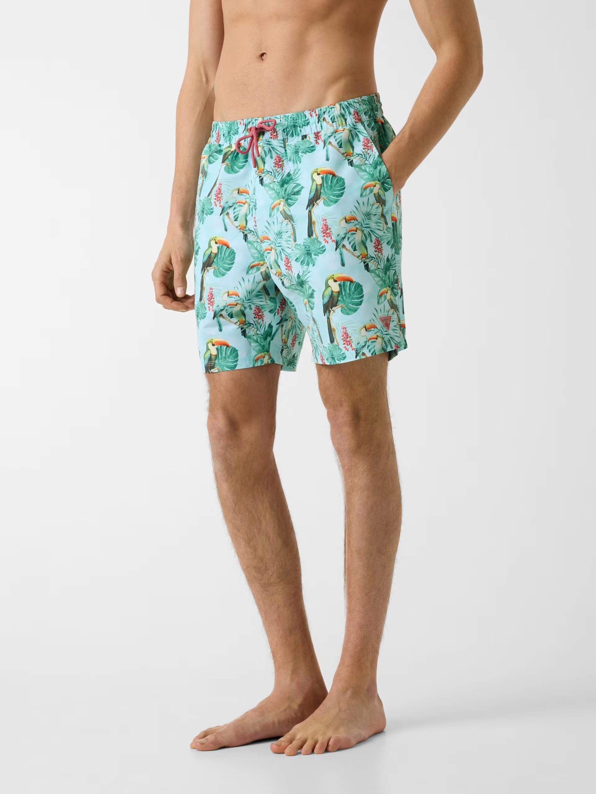 Calçôes de Banho Tucanos Azul - Guess  2