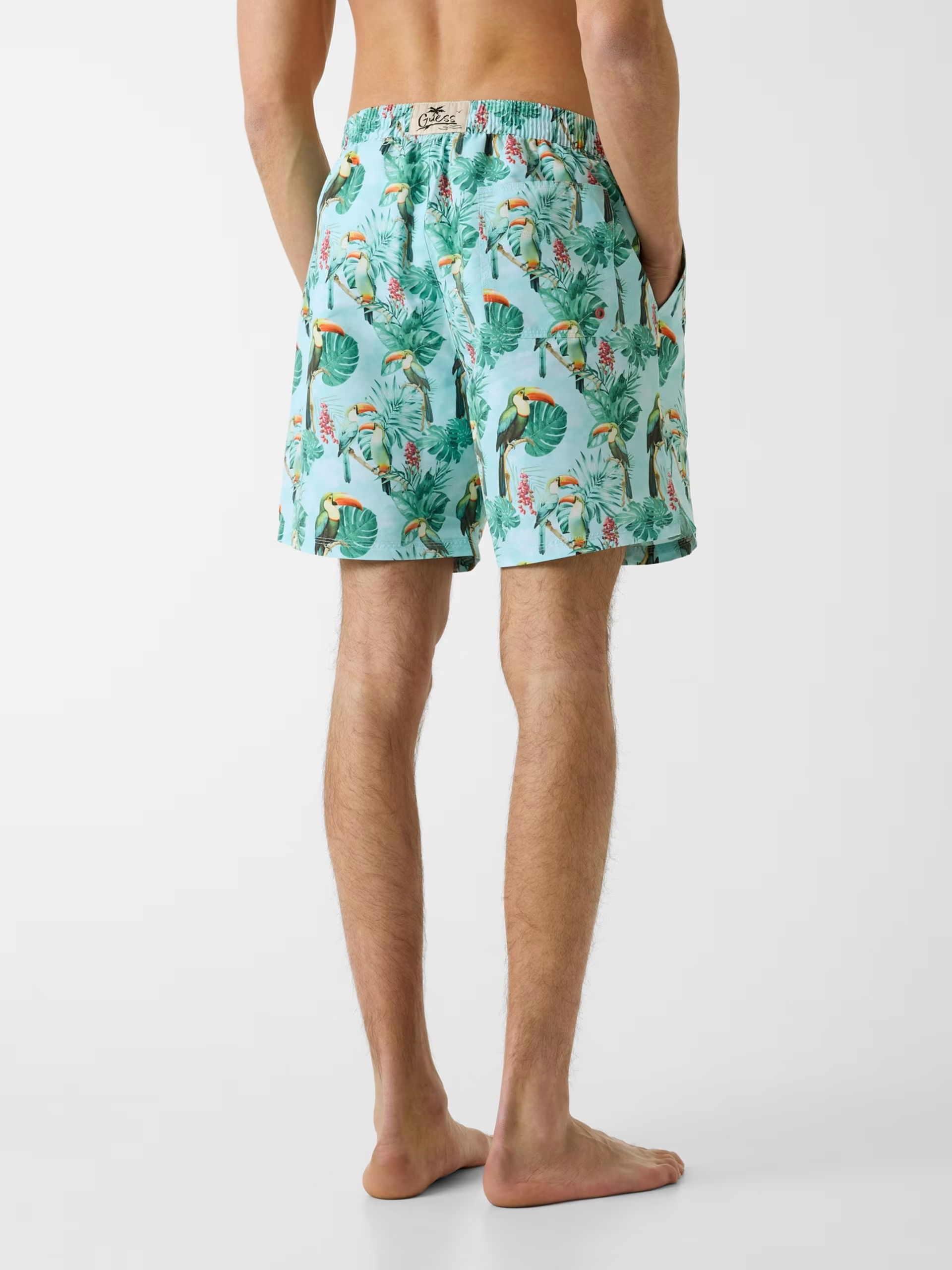 Calçôes de Banho Tucanos Azul - Guess  5