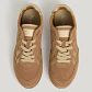 Ténis Daze Preppy em Camel - Pepe Jeans - Thumbnail 4