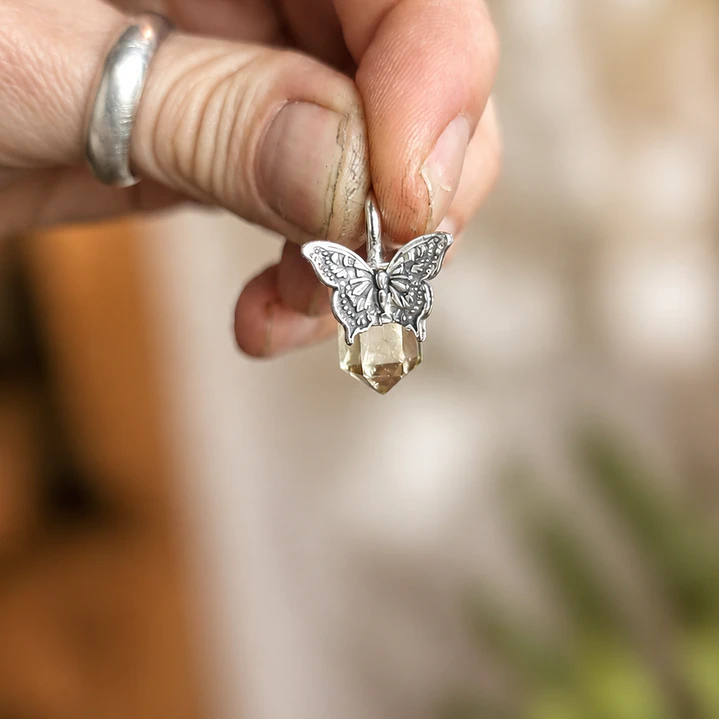 Baby Mariposa 1