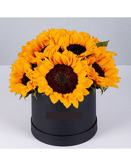 Caja 8-12 girasoles 