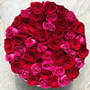 44 Rose Box | Dos colores de rosas