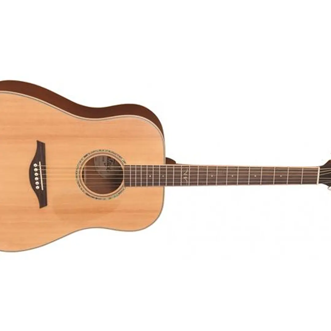 Guitarra Acústica V50 Dreadnought Natural 1