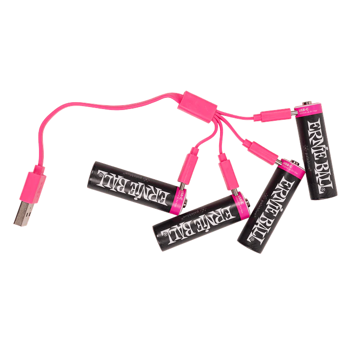 Batería USB‑C recargable AA Ernie Ball by Paleblue — Pack de 4 4