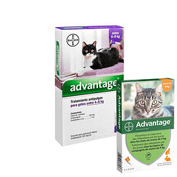 Advantage anti pulgas para gato
