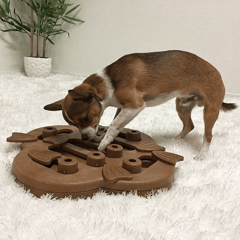 Dog puzzle hide n slide