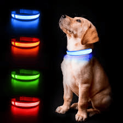 Collar led 