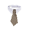 Cuello con corbata S