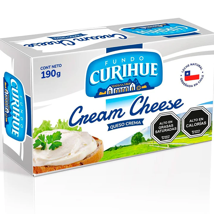 Queso crema 1