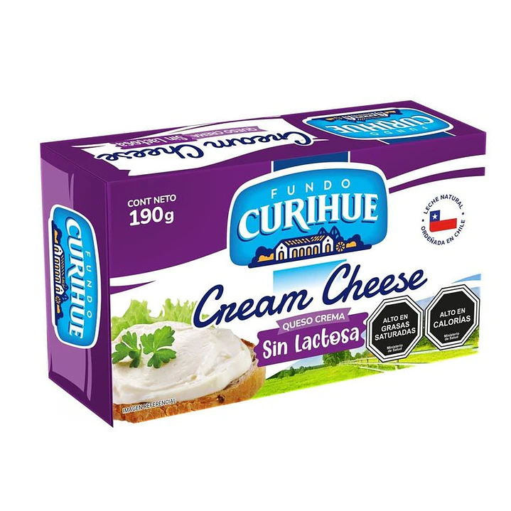 Queso crema 2