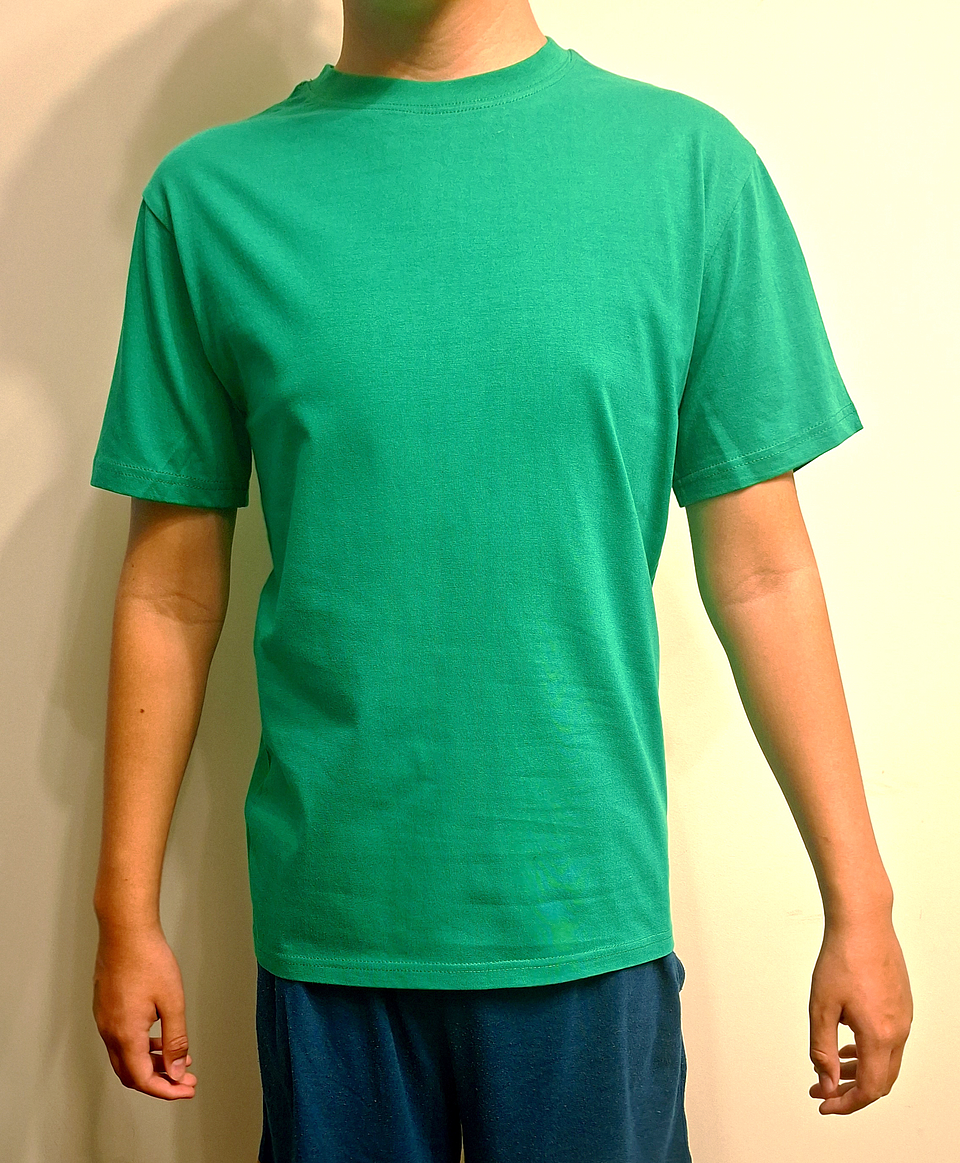 Polera lisa cuello redondo verde 2