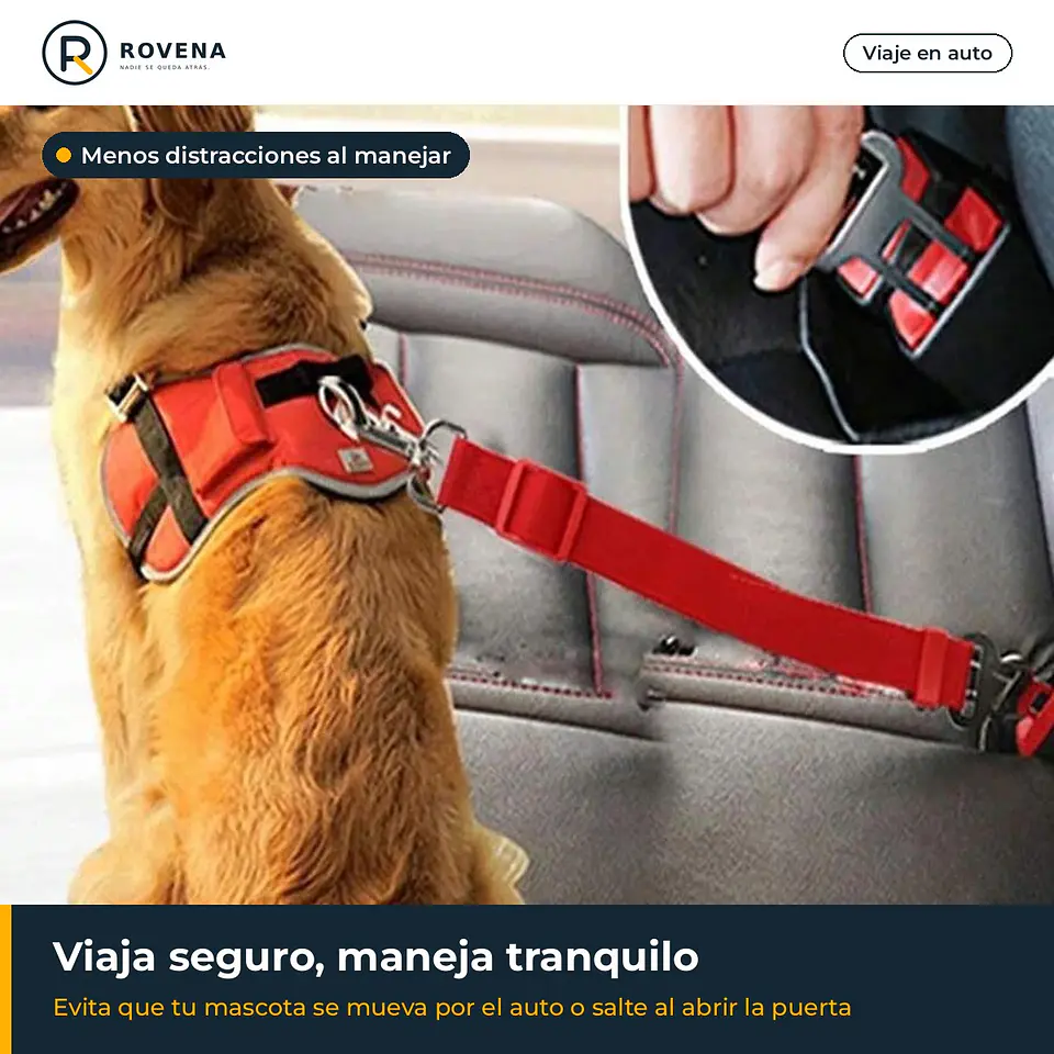 Cinturón de seguridad para mascotas en el auto 2