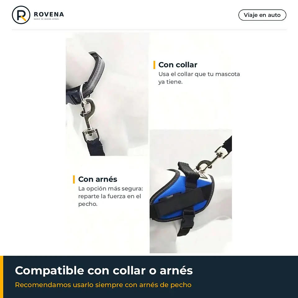 Cinturón de seguridad para mascotas en el auto 5