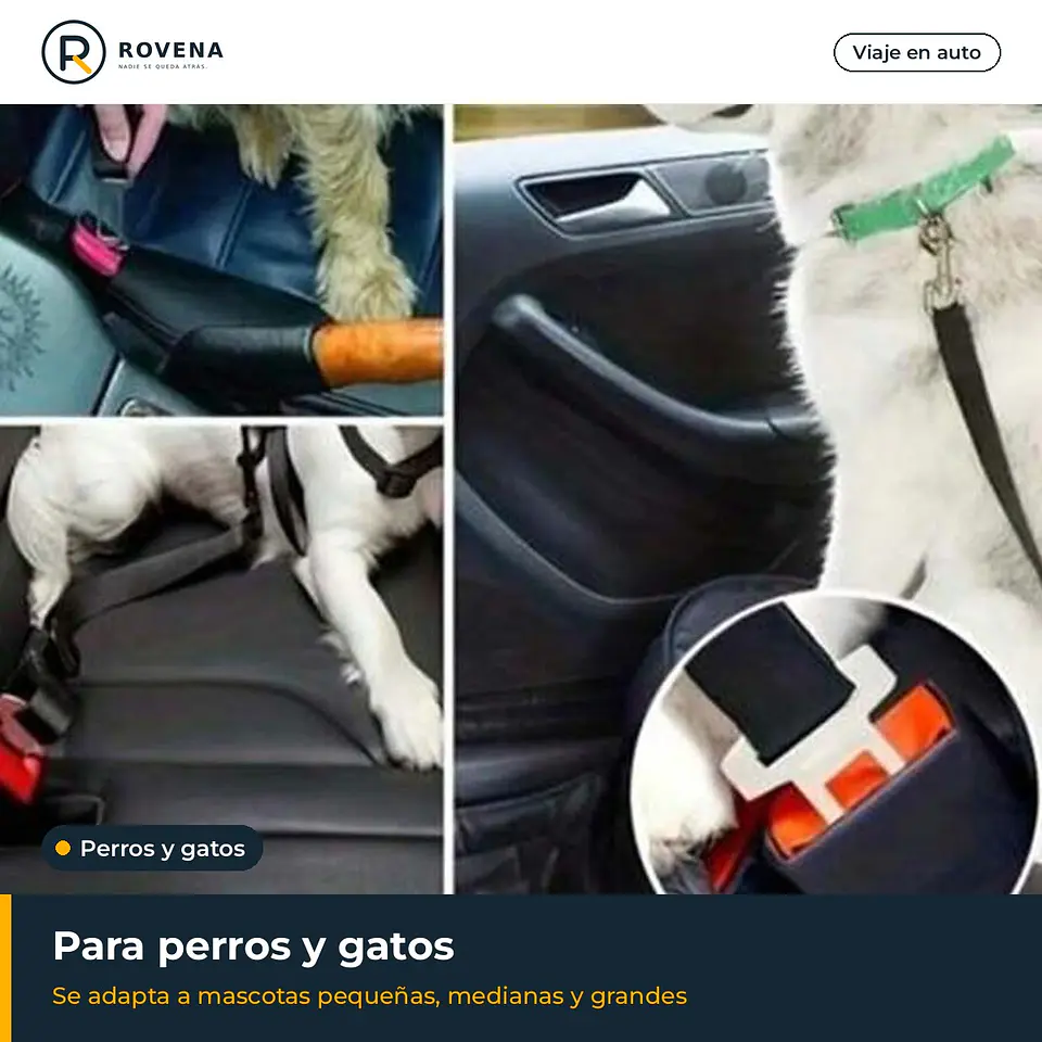 Cinturón de seguridad para mascotas en el auto 7