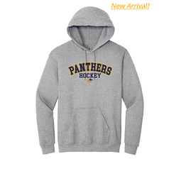 Arched Panthers Hoodie (2 Colors)