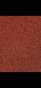 Pasillo Ceremonia 133cm - Miniatura 2