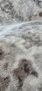 Alfombra Antares - Miniatura 3